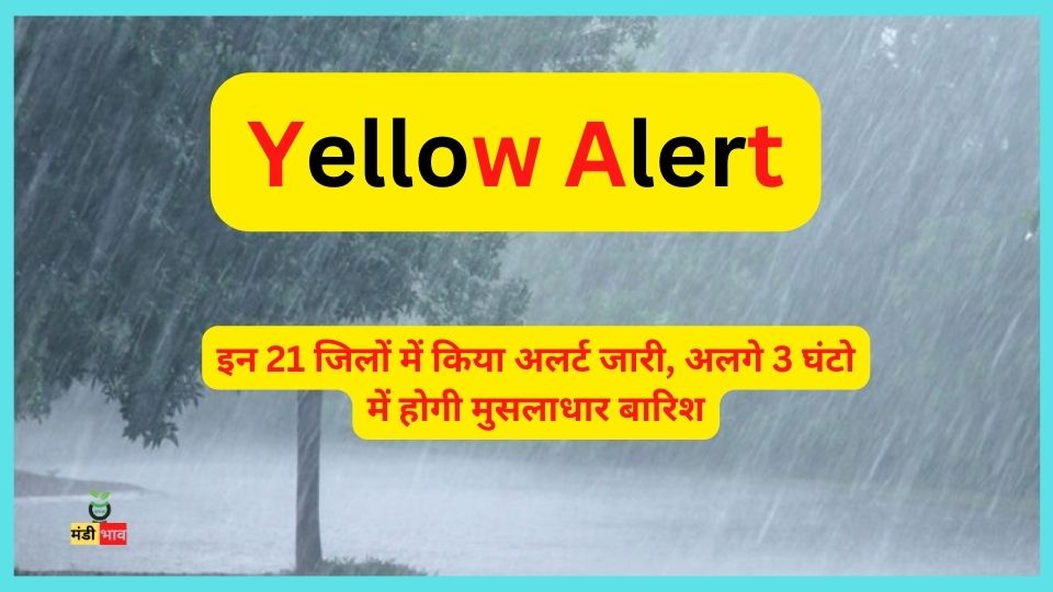 Yellow Alert: इन 21 जिलों में किया अलर्ट जारी, अलगे 3 घंटो में होगी मुसलाधार बारिश