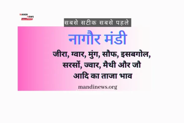 नागौर मंडी 10 जुलाई 2024 : जीरा, ग्वार, मुंग, सौफ, सरसों, मैथी, जौ आदि का ताजा भाव