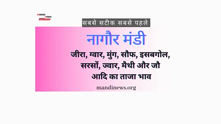 नागौर मंडी 06 अक्टूबर 2023 : इसबगोल और ग्वार भाव में आज थोड़ी तेजी