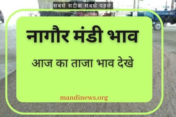 नागौर मंडी 14 अक्टूबर 2023 : जीरा, ग्वार, मुंग, सौफ, इसबगोल, सरसों, मैथी आदि अनाजो का ताजा भाव