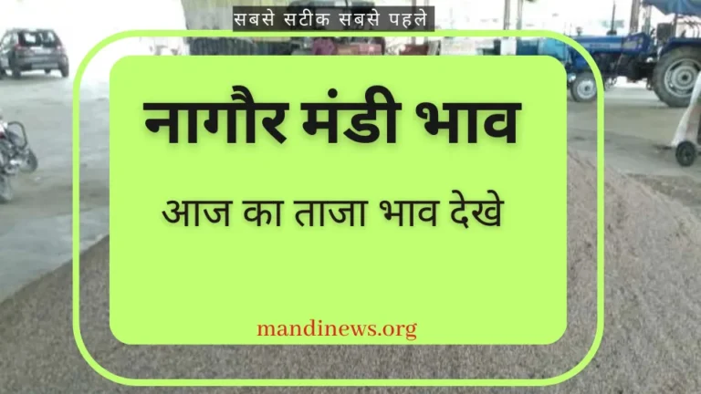 नागौर मंडी 13 अक्टूबर 2023 : जीरा, ग्वार, मुंग, सौफ, इसबगोल, सरसों, मैथी आदि अनाजो का ताजा भाव