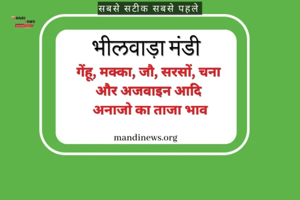 भीलवाड़ा मंडी 07 अक्टूबर 2023 : गेंहू, मक्का, जौ, सरसों, चना, मूंग, उड़द आदि के ताजा भाव