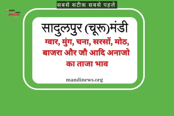 सादुलपुर (चूरू) मंडी 07 अक्टूबर 2023 : बाजरा, सरसों, मुंग और मोठ आदि के ताजा भाव