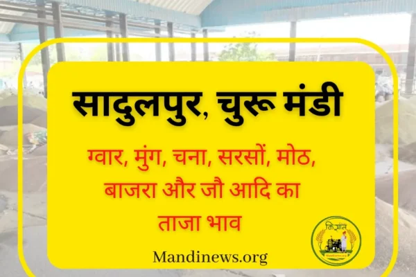 सादुलपुर (चूरू) मंडी 27 सितंबर 2023 : बाजरा, सरसों, मुंग और मोठ आदि के ताजा भाव