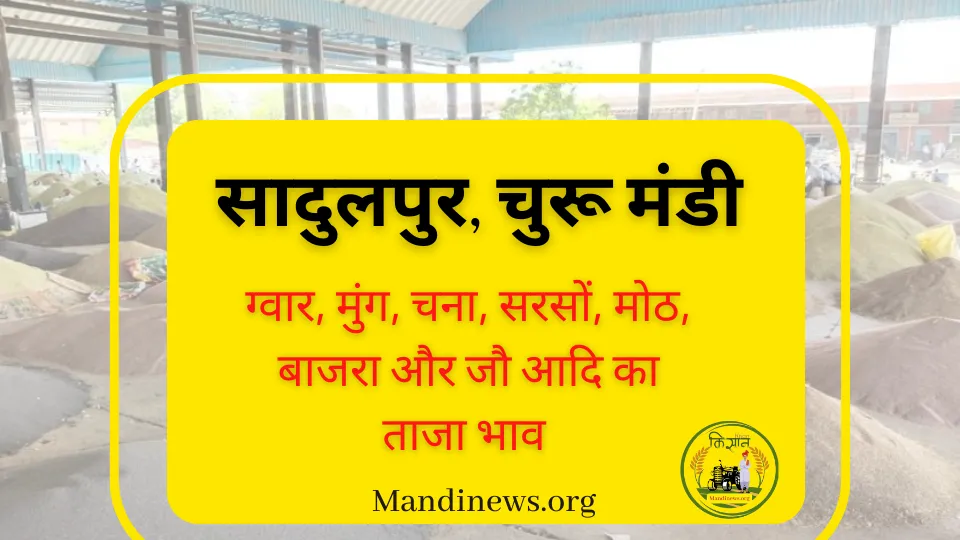 सादुलपुर (चूरू) मंडी 27 सितंबर 2023 : बाजरा, सरसों, मुंग और मोठ आदि के ताजा भाव