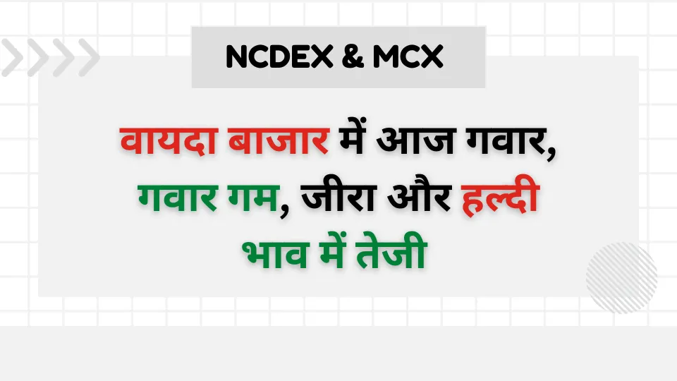 NCDEX & MCX