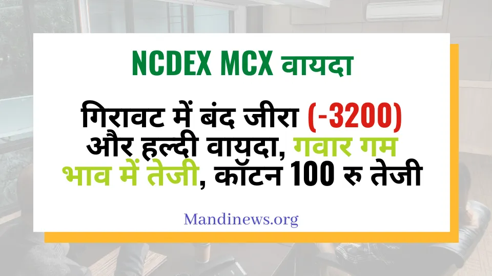 Ncdex Mcx वायदा