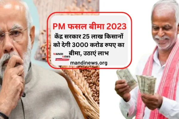 PM फसल बीमा 2023 : केंद्र सरकार 25 लाख किसानों को देगी 3000 करोड रुपए का बीमा, उठाएं लाभ