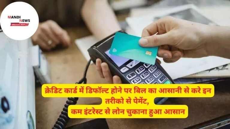 क्रेडिट कार्ड में डिफॉल्ट होने पर बिल का आसानी से करे इन तरीको से पेमेंट, कम इंटरेस्ट से लोन चुकाना हुआ आसान