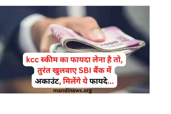 kcc स्कीम का फायदा लेना है तो, तुरंत खुलवाए SBI बैंक में अकाउंट, मिलेंगे ये फायदे…