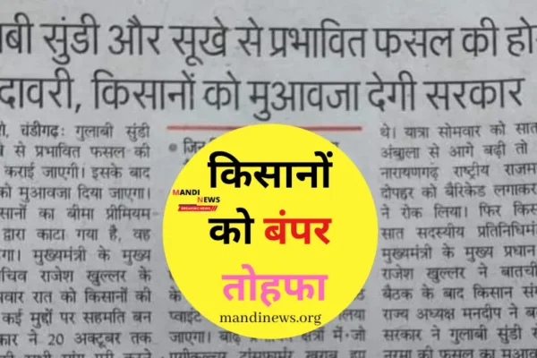 किसानों को बंपर तोहफा, गुलाबी सुंडी और सूखे से प्रभावित फसलों की होगी गिरदावरी, मिलेगा मुआवजा