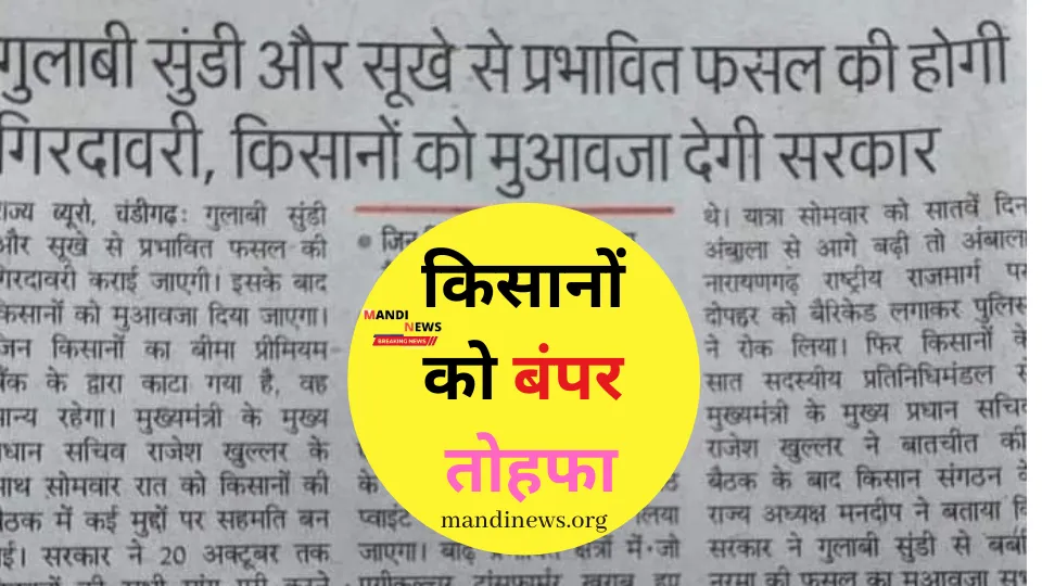 किसानों को बंपर तोहफा, गुलाबी सुंडी और सूखे से प्रभावित फसलों की होगी गिरदावरी, मिलेगा मुआवजा