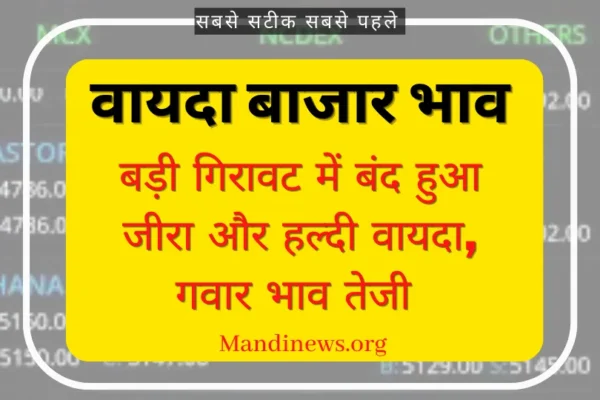 Ncdex वायदा बाजार 10 अक्टूबर 2023: बड़ी गिरावट में बंद हुआ जीरा और हल्दी वायदा, गवार भाव तेजी