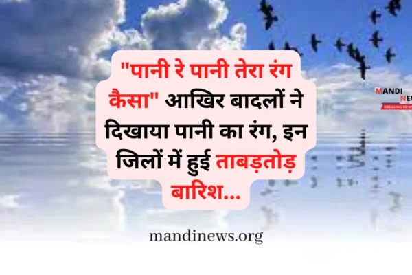 “पानी रे पानी तेरा रंग कैसा” आखिर बादलों ने दिखाया पानी का रंग, इन जिलों में हुई ताबड़तोड़ बारिश…