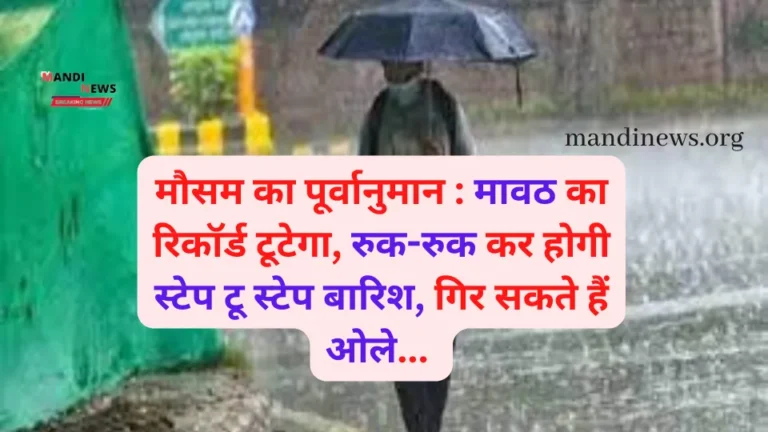 राजस्थान में मौसम ने मारी पलटी, कई स्थान पर हुई मावठ, राजस्थान के 10 जिलों में बारिश का अलर्ट जारी