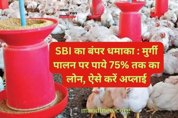 SBI का बंपर धमाका : मुर्गी पालन पर पाये 75% तक का लोन, ऐसे करें अप्लाई…