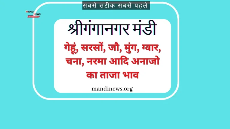 श्रीगंगानगर मंडी 05 अप्रैल 2024 : गेहूं, सरसों, जौ, मुंग, ग्वार, चना, नरमा आदि अनाजो के ताजा भाव