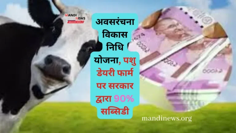 खुशखबरी, अवसरंचना विकास निधि योजना, पशु डेयरी फार्म पर सरकार द्वारा 90% सब्सिडी, जल्द करे आवेदन