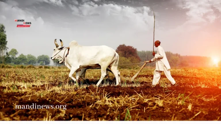 भारतीय किसानों के लिए सबसे बड़ी कृषि समस्याएं और उनका समाधान, जानिये रिपोर्ट
