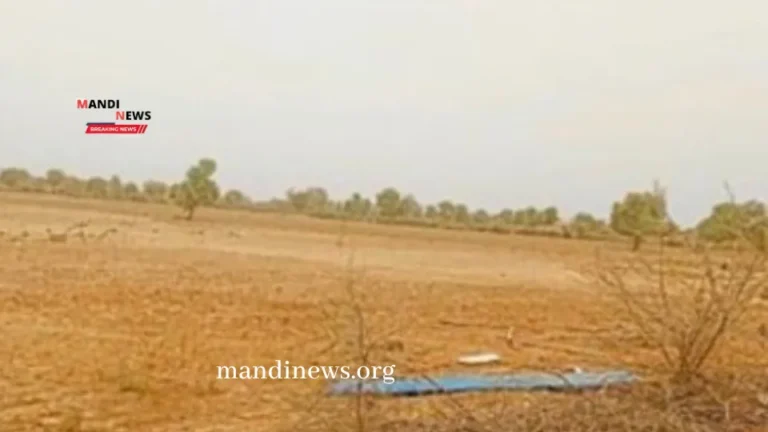 अगर आपके पास है खाली जमीन तो इस बिज़नेस से कमाए बम्पर पैसा, सरकार भी दे रही सब्सिडी