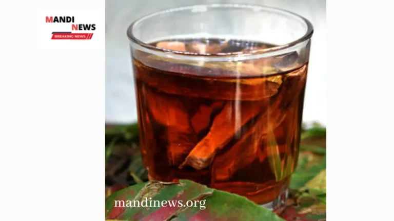 अर्जुन छाल का काढ़ा पीने के फायदे, 15 से 20 दिनो तक करें सेवन और पाये, बेहतरीन रिजल्ट