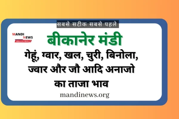 बीकानेर मंडी 06 जून 2024 : गेहूं, ग्वार, खल, चुरी, बिनोला, घी, ज्वार आदि का ताजा भाव