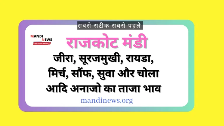 राजकोट मंडी 09 अप्रैल 2024 : कपास बी. टी., चना, सूरजमुखी, मिर्च और अजवाईन के भाव में तेजी