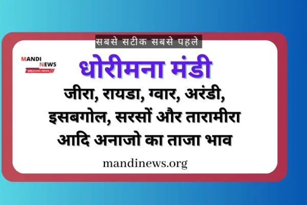 धोरीमना मंडी 10 जुलाई 2024 : जीरा, तिल, ग्वार, जौ, बाजरा, मतिरा बीज, मुंग आदि का ताजा भाव