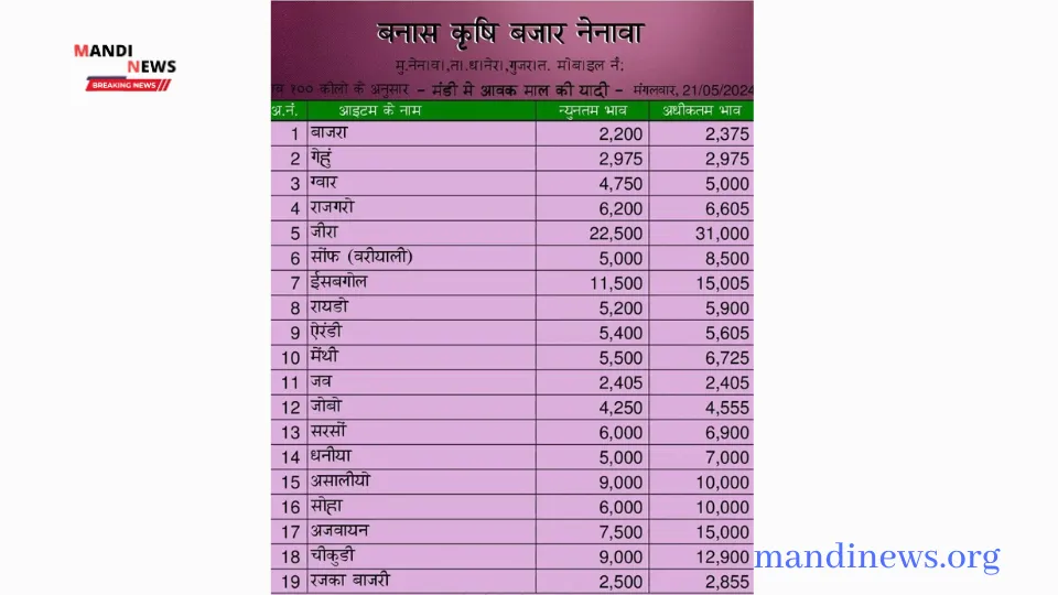 नेनावा मंडी 21 मई 2024