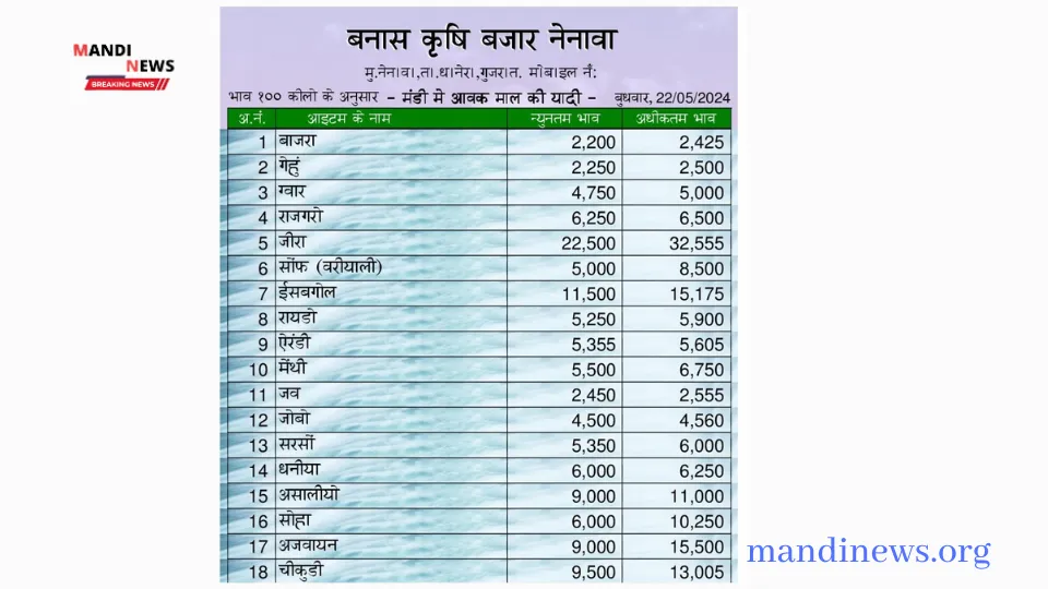 नेनावा मंडी 22 मई 2024