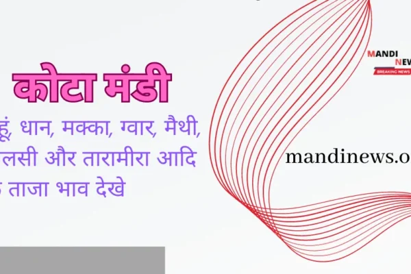 भामाशाह कोटा मंडी 06 जून 2024 : गेहूं, धान, मक्का, ग्वार, मैथी, अलसी आदि के ताजा भाव