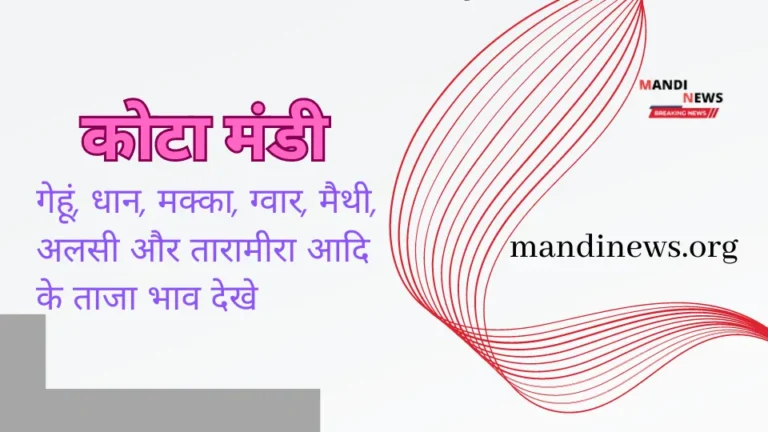 भामाशाह कोटा मंडी 11 जून 2024 : गेहूं, धान, मक्का, ग्वार, मैथी, अलसी आदि के ताजा भाव