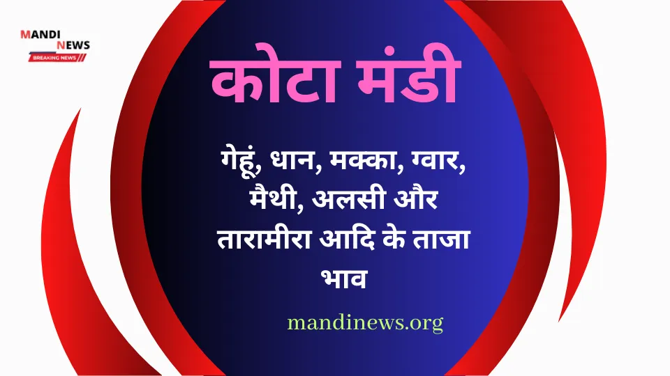 भामाशाह कोटा मंडी 20 जून 2024 : गेहूं, धान, मक्का, ग्वार, मैथी, अलसी आदि के ताजा भाव