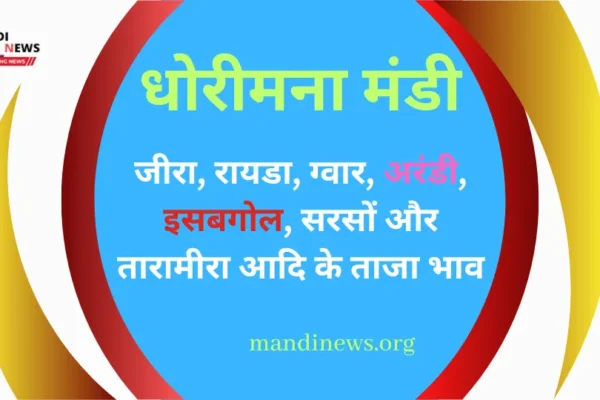 धोरीमना मंडी 08 जुलाई 2024 : जीरा, तिल, ग्वार, जौ, बाजरा, मतिरा बीज, मुंग आदि का ताजा भाव