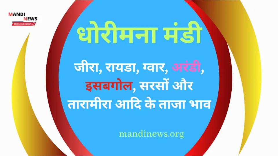 धोरीमना मंडी 29 जून 2024 : जीरा, तिल, ग्वार, जौ, बाजरा, मतिरा बीज, मुंग आदि का ताजा भाव