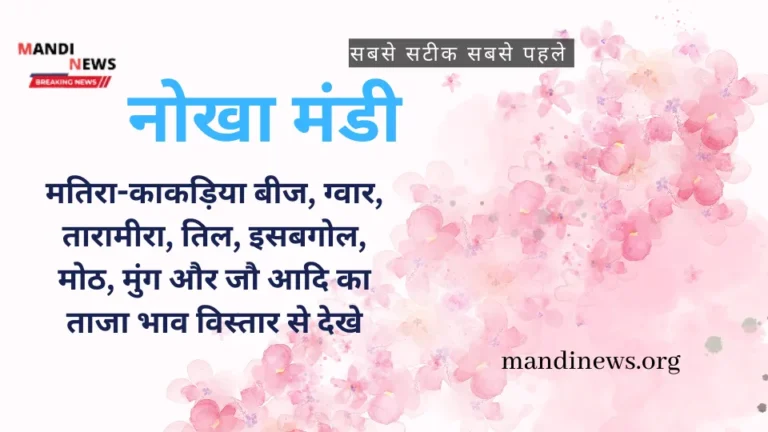 नोखा मंडी 24 जून 2024 : मतिरा-काकड़िया बीज, ग्वार, तिल, मोठ, मुंग आदि का ताजा भाव