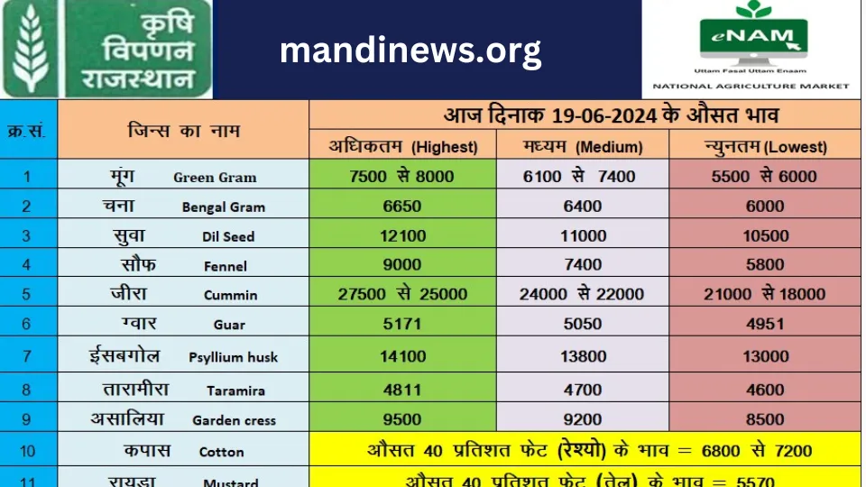 मेड़ता मंडी 19 जून 2024