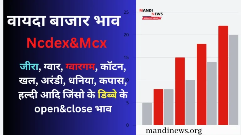 वायदा 06 जनवरी 2025 (ncdex) : ग्वार, कॉटन, कपास और हल्दी भाव में तेजी