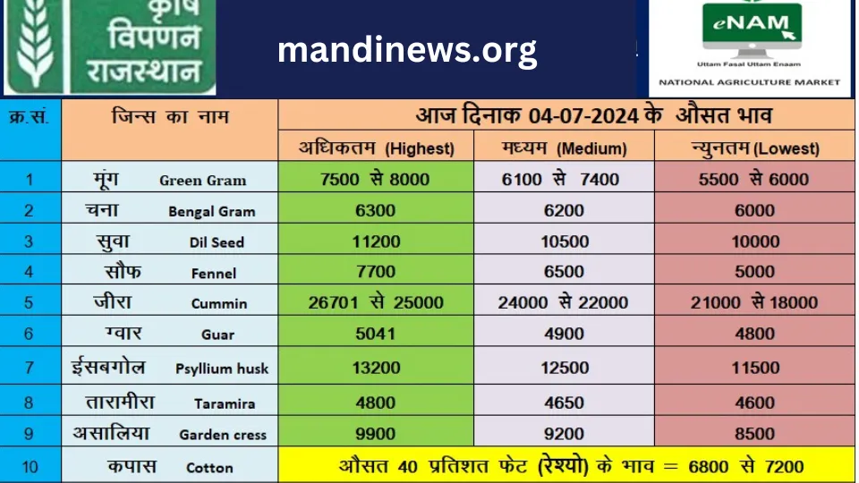 मेड़ता मंडी 04 जुलाई 2024