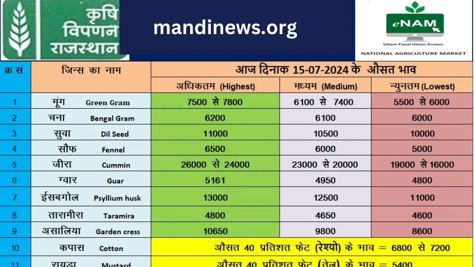 मेड़ता मंडी 15 जुलाई 2024