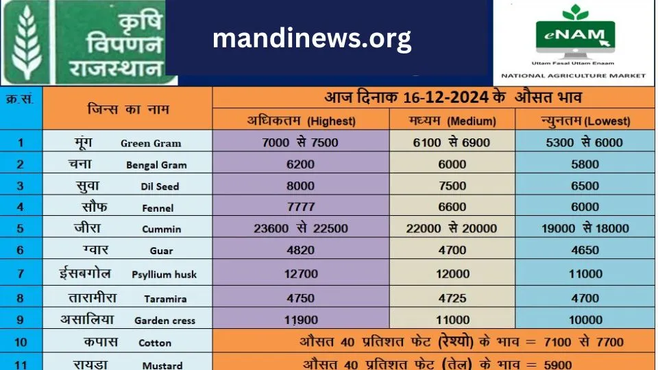 मेड़ता मंडी 16 दिसंबर 2024