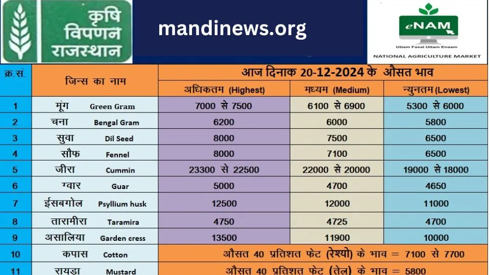 मेड़ता मंडी 20 दिसंबर 2024